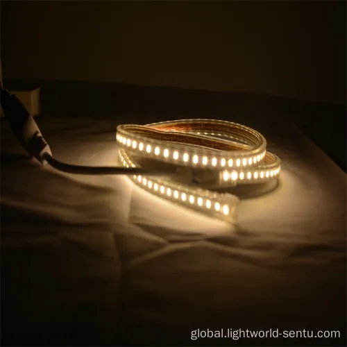 SMD2835 LED Light Strip Good Quality SMD2835 LED Light Supplier